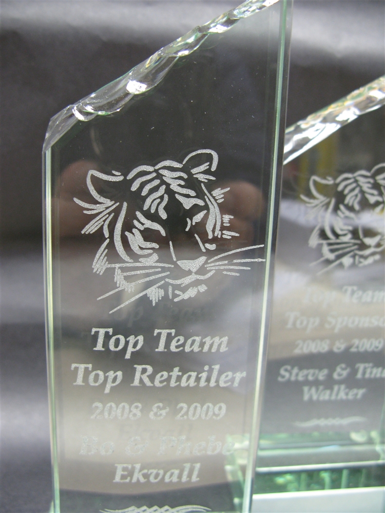 Engraving Norwich Dixons Centre Norfolk